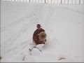 Keeshond sledding