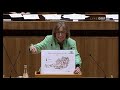 Gabriele Moser - Braune Politik.divx
