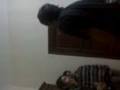 videos de mohamed y el guazo.3gp
