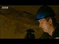 What Really Killed the Dinosaurs?