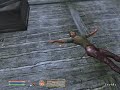 Oblivion Despose Of Your Dead