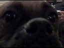 Oct 12 2008 - VID00036