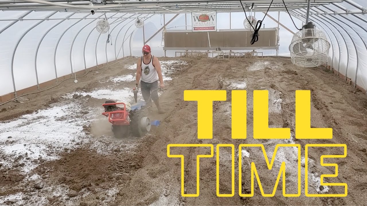 Ready the soil for pumpkins!