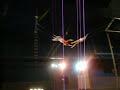circus circus reno