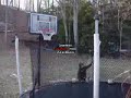 Trampoline Stunts 1 Trampoline Stunts 1