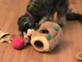 schnauzer toys
