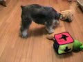 schnauzer toys