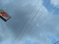 Electric wire
