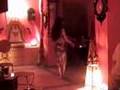 Nefertari - danza del vientre