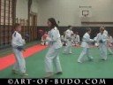 Karate demo - wadoryu 和道流空手道