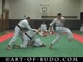 Karate demo - wadoryu 和道流空手道