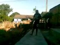 BRINCANDO COM O  PITY BULL