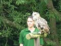 Mozart the Eurasian Eagle Owl at Birdworld