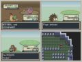 Let-s-race-pokemon-L