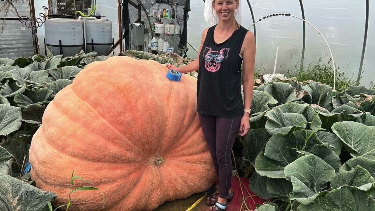 Radio interview with Chad and Brad - Giant pumpkin!