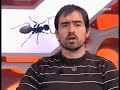 Ligar es fácil si sabes cómo - Técnica del desconcierto Ligar es fácil si sabes cómo - Técnica del desconcierto