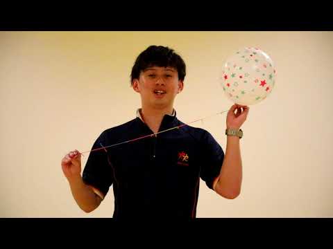 YouTube動画