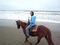 Mar Vista Stables - Horsebacking riding on the beach