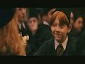 Harry Potter Mr. Brightside