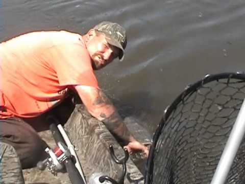 how to train riverbeast