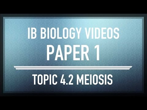 how to study for ib biology sl exam