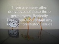 Lost Cells become TERATOMA! Lost Cells become TERATOMA!