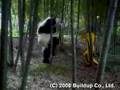 kung-fu panda 功夫大熊猫 カンフーパンダ