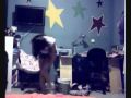 Dance to Straight trough my heart by