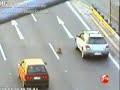 \"Conmovedor rescate de un perro callejero\" Fieles hasta el final