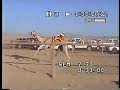 سباقات الهجن يوم الخميس الموافق1/6/1429هـ