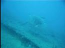 Diving the Eagle, Key Largo