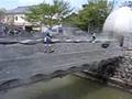 toyama trip