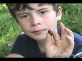 Plantain: Plantago major: Sting Remedy