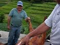 Trabalho de cirurgião após a matança do porco, para uma boa selecção e conservação da matéria prima(www.espirito-defender.com)