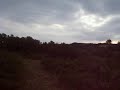 apash dans les alpilles