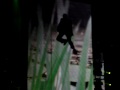 MILEY CYRUS FLY ON THE WALL ST LOUIS 09!!