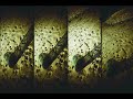 Lomography SuperSampler