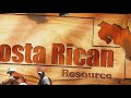 CRR ants volcano