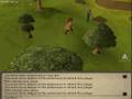 null cliff2
