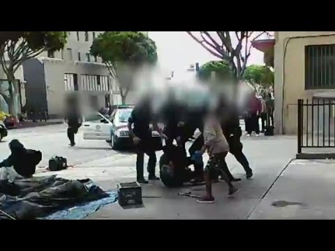 Shocking video shows LAPD fatal shooting