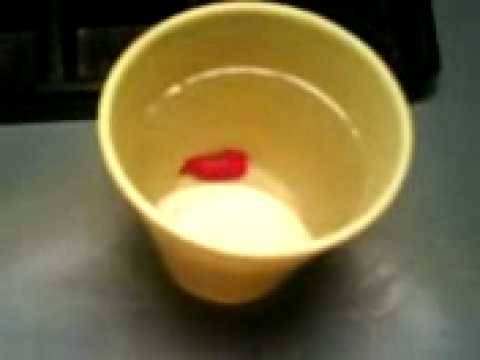 how to dissolve crayons
