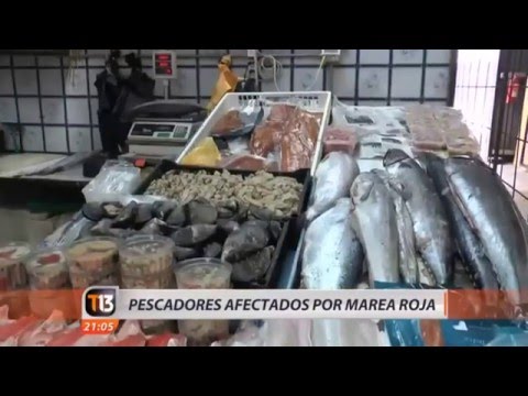 Imagen de previsualización de YouTube