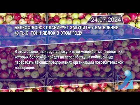 Новостная лента Телеканала Интекс 24.07.24.