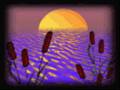 IMAGINA.wmv