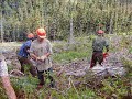 Blue River Fire Guard Cutting Blue River Fire Guard Cutting