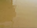 \"diary of a flood\"..martinsville flood 2008. \"diary of a flood\"..martinsville flood 2008.