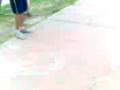 videos de shinco pesho