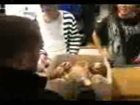 0 Salong Betong! + förberedelser (video)