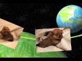 2010-05-11 | Plumo's Babies 3 weeks ~> Australian Terrier Babies ... Plumo's Babies 3 weeks ... ()