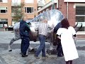Hoe verhuis ik een wisent? (Mondial Dijkstra Verhuizingen)